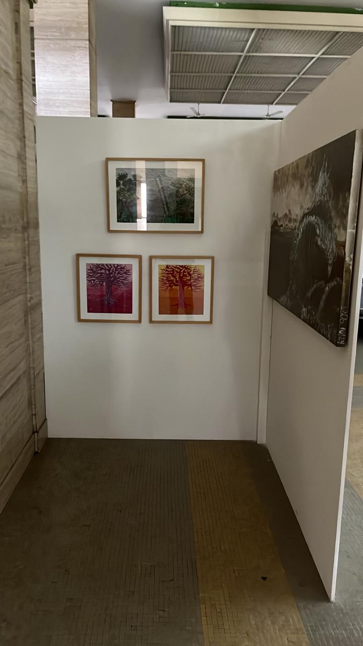 Exposição Jockey Club - Foto 6